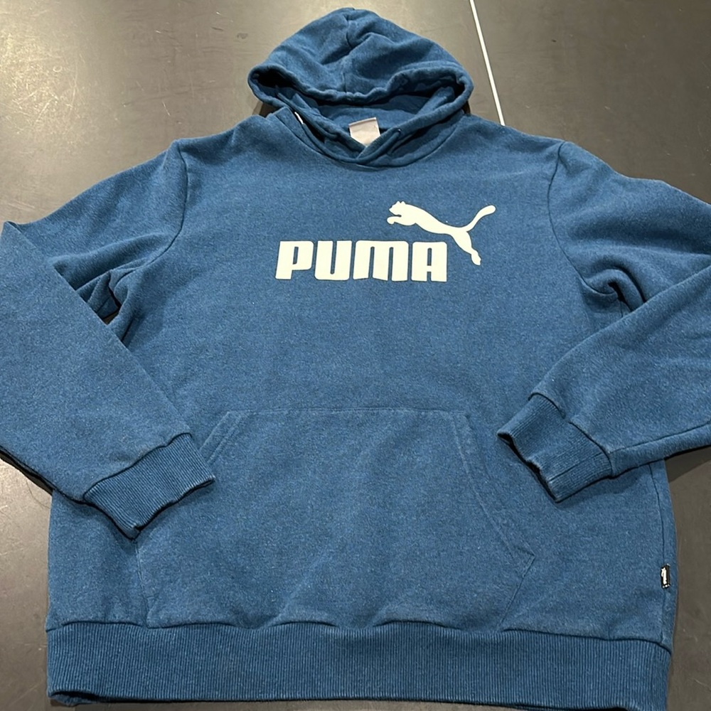 Puma Mens Hoodie